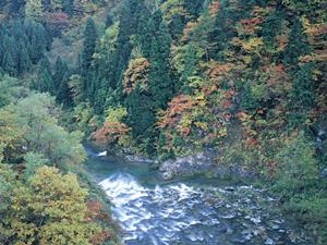 東京大手町の快適ステイを実現！東横INN東京大手町の魅力と詳細ガイド