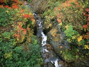 東横INN羽田空港2：快適な宿泊体験と便利なアクセスを誇るビジネスホテル