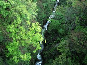 東横INN大塚駅北口1｜便利なアクセスと快適な宿泊を提供する東京都豊島区のビジネスホテル
