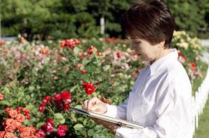 別府温泉 竹と椿のお宿 花べっぷでの心安らぐひととき