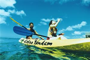 神奈川県大和市のビジネスホテル「東横INN大和駅前」の魅力と詳細情報