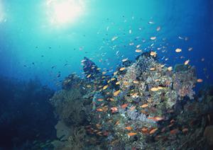 北海道釧路市のビジネスホテル｜東横INN釧路十字街の魅力と最新情報