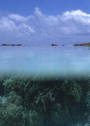 岐阜羽島駅すぐそば！快適な滞在を提供する東横INN岐阜羽島駅新幹線南口