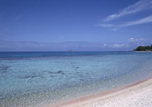 JR九州ホテル鹿児島 – 駅直結の便利なホテル