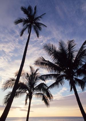 釜山駅から徒歩2分！東横INN釜山駅1の魅力と詳細ガイド