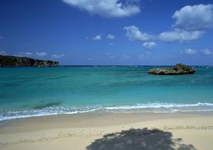 東横イン茅場町駅：アクセス便利なビジネスホテルの魅力と詳細情報