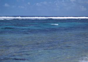 金沢で特別な時間を過ごすならいぬい庵