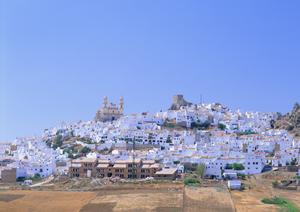 東横INNホスピタルイン獨協医科大学：栃木県で快適なビジネス＆観光滞在を実現するホテルの魅力
