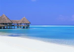 【公式】東横INN蒲田東口｜東京都大田区のビジネスホテル予約と魅力を徹底解説