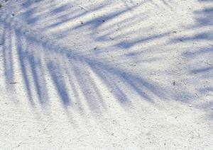 宮城県仙台市にあるビジネスホテルの魅力と詳細情報：東横INN仙台西口広瀬通のご紹介