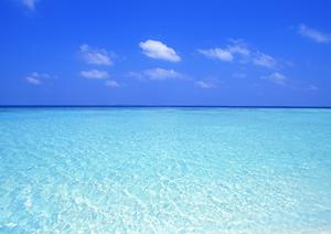 ゴルフ場への送迎も行う会社について