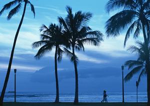 千葉県流山市に位置する東横INN流山おおたかの森駅前の魅力と詳細情報